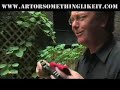 Sword Swallower - Todd Robbins Sword Swallower - Todd Robbins