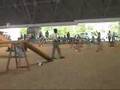 Dog Agility (Jun/27/2007 JKC Final Agility Large Vol.6)