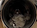 Miele Premier 500 Cottons 60 with Persil Bio Powder