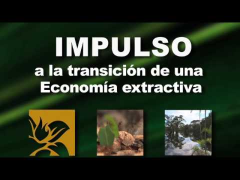 Oruga Trotamundos mira el video - MioPlanet.org