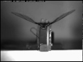 Insects rely primarily on asymmetric wing motions to stabilize and steer. This video clip shows a robotic device demonstrating asymmetric stroke amplitudes, just one of the many parameters of wing motion insects can vary. The publication,