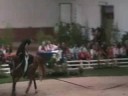 Championnat de France 2008