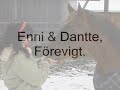 Film om Enina & Josefin (hoppning)