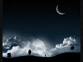 Shakedown - At Night (Richard Reynolds Electric Remix)