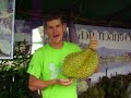 durian organic feast!