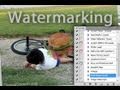 Photoshop - Batch Watermark