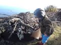 Gucks (Ducks)...walking around with a rock and stick
