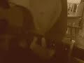 teledysk, klip, Joni Mitchell,- All I Want