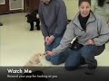 See video