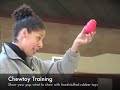 See video