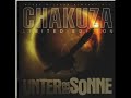 Chakuza feat. Kay one Schlag alarm