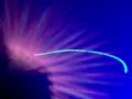 creamfields buenos aires 2008.david guetta el capo