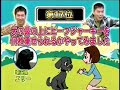 Perro con  mucha paciencia -  bromas graciosas By HellXoft