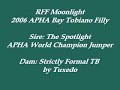 RFF Moonlight Walk