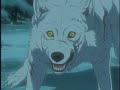 Wolf\