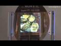 Sony's flexible organic EL display concepts : DigInfo