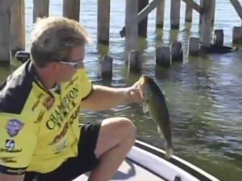 clear lake bass ca record trout water