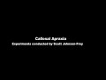 documentary. split brain research. learn about the functions of each hemisphere of the brain. very interesting. the first woman featured has apraxia (a neurological disorder characterized by loss of the ability to execute or carry out learned purposeful movements, despite having the desire and the physical ability to perform the movements). the second patient in the film has aphasia (a loss of the ability to produce and/or comprehend language, due to injury to brain areas specialized for these functions. it is not a result of deafness or muscle paralysis, and it does not necessarily affect intelligence). both apraxia and aphasia arise from lesions in the language-dominant hemisphere (which for most people - 95% - is the left hemisphere).


experiments conducted by scott johnson-frey.