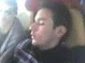 videos de ta oria tou tigri