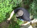 Fishing at OakFord and Catching a North American Wood Turtle Fishing at OakFord and Catching a North American Wood Turtle