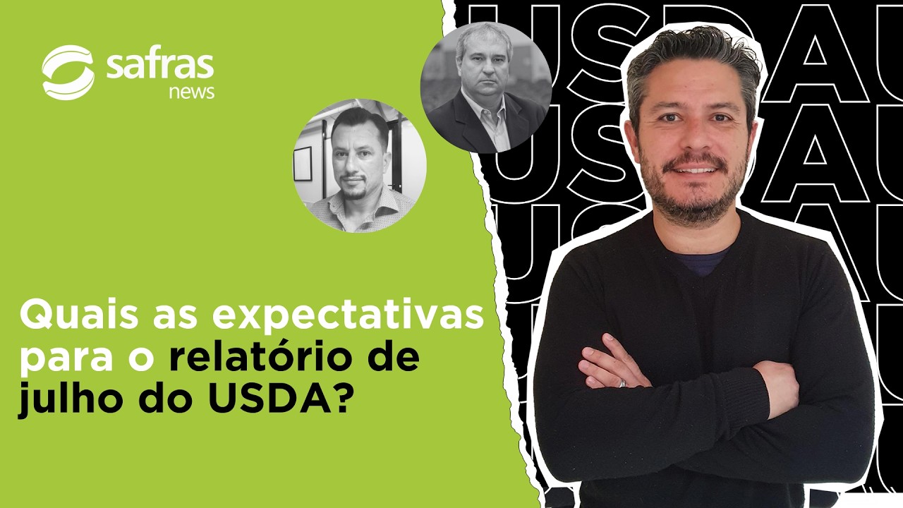 Como o mercado espera o relatório de julho para soja, milho e trigo? - Pré-USDA