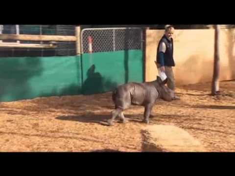 See video