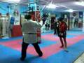 muay thai vs ju-jitsu il tempio