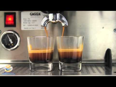 Gaggia TS Espresso Machine