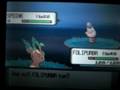 Catching Shiny Spoink (Pokemon Pearl)