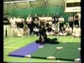 Grand Master Haim Gidon Of The Israeli Krav Maga