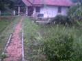videos de NOSC - Nagrak Organic SRI Center