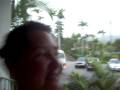 videos de Cheryl Lester's Jamaican Weather Report.MOV