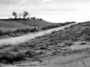 Slow Gallop on Trix Slow Gallop on Trix