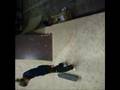 videos de the skejtfilm - muwaba