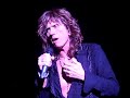 Whitesnake 2006 - David Coverdale