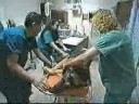 A police dog is shot after a high speed pursuit.  This segment was taken from Episode 713 which aired on August 20, 1996 on CBS. It was originally shown on Episode 913H which aired on April 23, 1996.Vote for Rescue 911 to be released on DVD at http://www.tvshowsondvd.com/showinfo.cfm?showID=3531 and to be put back on television at http://www.petitiononline.com/res911/petition.html