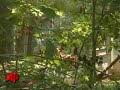 Human Remains Found in Woman's Home Freezer