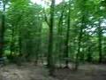 Camp Seloignes 2008