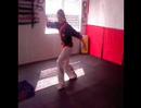 kung fu animals shen chien school