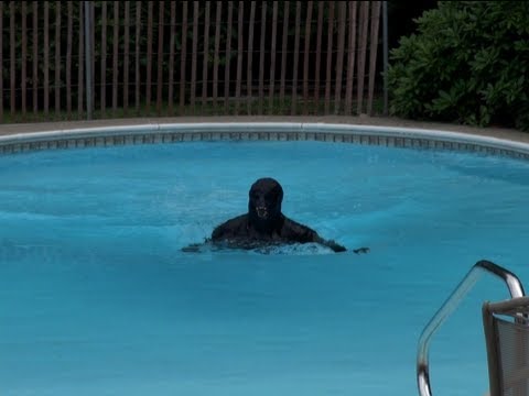 how to go skinny dipping without getting caught
