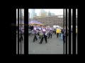 MN Vikings