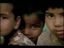 Diversidade - Identidade