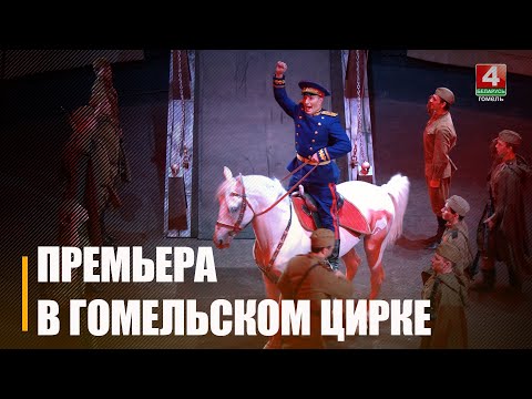 Дрессированные собаки и морские котики. В Гомельском цирке состоялась премьера «Парада Победы» видео