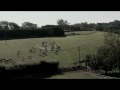 The Donkey Sanctuary - 40 years on