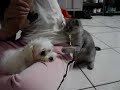 How dare you!