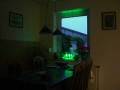 0 LED Blumenbeleuchtung groß.wmv