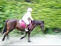 World's greatest horses World's greatest horses