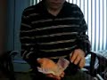 Self folding bill Self folding bill