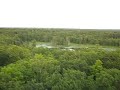 Video 50