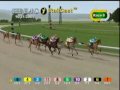 (10/31/2009) Keeneland Race 8